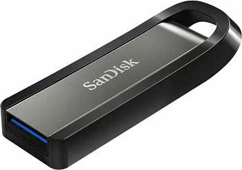Флешка Sandisk Extreme Go SDCZ810-256G-G46 256 ГБ черный